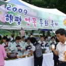 2009년 구미시 해평 연꽃 축제 나들이 이미지