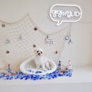 놀아보개 이미지