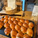 본호프 | 부천 베이커리 호프 🥐 빵지순례 맛집 추천 빵 종류, 방문 후기