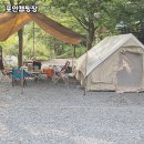 포안캠핑 | 강원 영월 포안캠핑장, 맑은 계곡에서 힐링 캠핑 다녀왔어요! 🌿