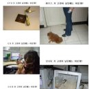 생활 컴퓨터 활용 이미지