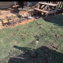 초이스쉼터 이미지