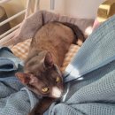 충효현대아파트 이미지