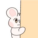 스튜디오라이카