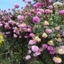 후동리 마을회관 이미지