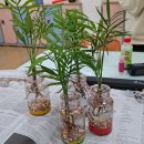 의령여자고등학교 이미지