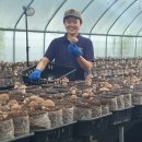 김윤영 농장 | 선도농가 성공비결(18)표고버섯 간편식으로 억대 소득