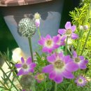 월계로16번길 이미지