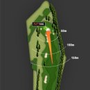 사이프러스 이미지