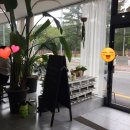 신평동1091 | 경주나들이-숙소 보문단지 홍앤리가정식