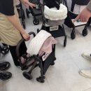 펫랜드 - 미추홀구 석바위로 4 | 강아지유모차할인점 펫랜드 방문 후기 🐶🐾 피카고유모차 구경했어요.
