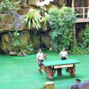 새들의천국 이미지