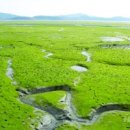 전라남도 신안군 안좌면 퍼플교 이미지