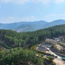 해변횟집펜션민박 이미지