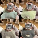 little tiny(리틀 타이니) | [경험후기]신생아 아기용품 종류 및 추천(수건/의류/잡화 등)