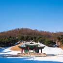 ＜미리보기＞한탄강의 비가 ㅡ 2. 역사책 씹어먹는 이토록 재밌는 왕릉 구경 이미지