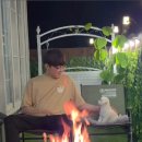 스테이더문 이미지