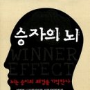 홍코딩 이미지