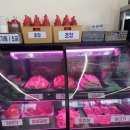 오산조개구이무한리필 이미지