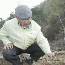 원창1리 이미지