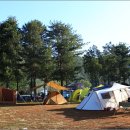 인제자연학교 캠핑장 이미지