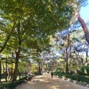 2026.10.09 통도사 가을풍경과 메밀꽃밭 이미지