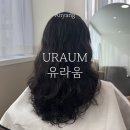 유라움 헤어 | 범계 미용실 추천 유라움 헤어 서아 디자이너 젤리펌 후기