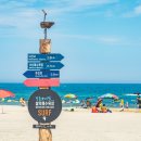 설악해변(비치마켓) 이미지