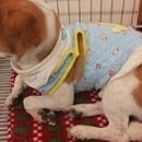 수현동물병원 이미지