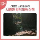 안덕면 화순리 재활용 도움센터 | 여름의 소리를 찾아, 시원한 계곡물이 흐르는 안덕계곡 산책