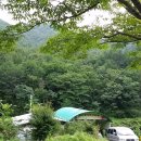 금오농장 이미지