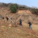 청천면사무소 이미지