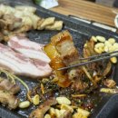 신평돈돼지 이미지