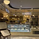 우치 | 일본여행 1일차 :: 도쿄역 카페 추천, 뷰와 맛을 모두 잡은 도쿄 하브스 마루노우치점 케이크 후기