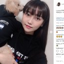 잘어울리개 이미지