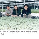 늘푸른육묘장