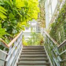 서초유치원 이미지