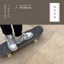 하버스케이트보드