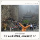 남부 탑사 화장실 | 진안 마이산 벚꽃길 위치, 개화현황, 초보 추천 코스(남부주차장~탑사~은수사~암마이봉)_26.04.10