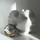 알이 하우스 이미지