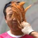 동네집밥 - 남양주시 | 동네집밥