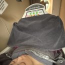 에이펙스라인 | 청라다이어트 전문 ‘에이펙스이엠에스스튜디오 청라점’ 체험 솔직 후기🏋️