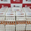 보은 목욕탕 이미지