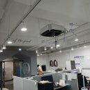 하이클린