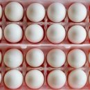 방송양계장 이미지