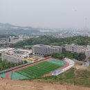 태평로55번길 이미지