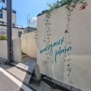 여름도겨울 | 강정보 대형카페 추천 애견동반가능한 마고플레인강정보점 여름,겨울 방문 후기