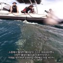 [2025 바당구조대] 남방큰돌고래 보호구역 버려진 자망 제거하기 이미지