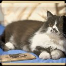 양재동복합시설 이미지