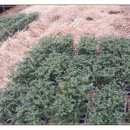 (주)휴팜 이미지